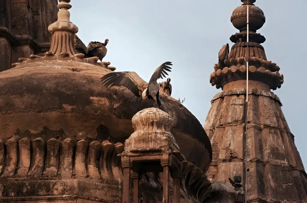 Vulture Symbolism in Hinduism